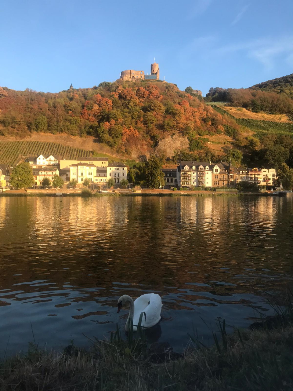Großansicht