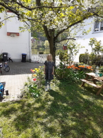 Bitte klicken Sie zum Vergrößern